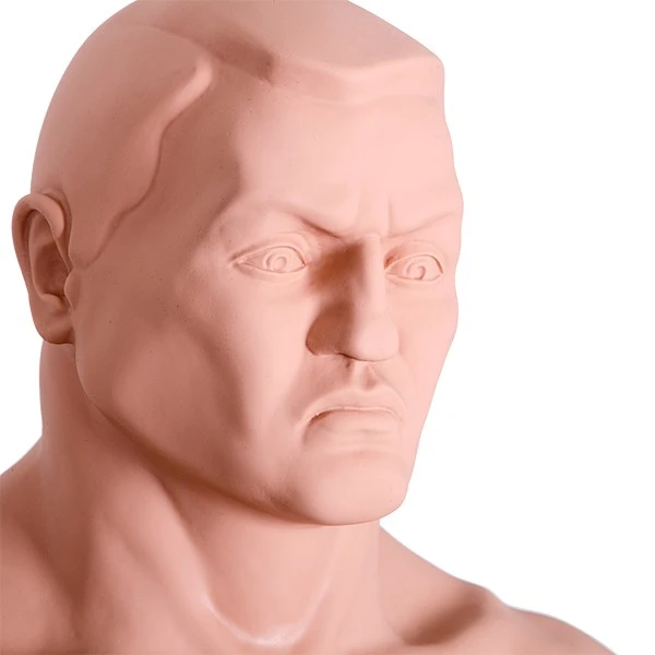 Century Bob XL Set completo compras con 17 opiniones de clientes - Fitshop Century Bob XL Set Completo Compras Con 17 Opiniones De Clientes - Fitshop -Deporte Fitness Tienda Century Bob XL Complete 002 d