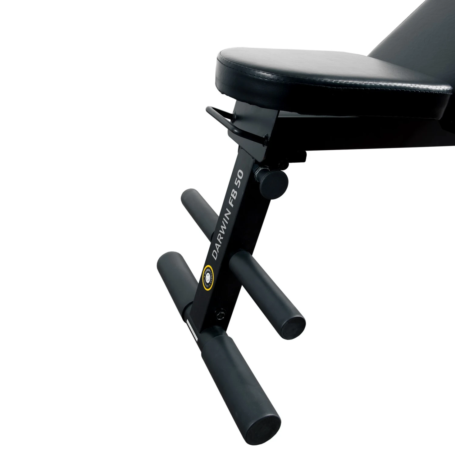 Banco de Musculación Darwin FB50 - Fitshop Banco De Musculación Darwin FB50 - Fitshop -Deporte Fitness Tienda df fb50 hantelbank 004 1600