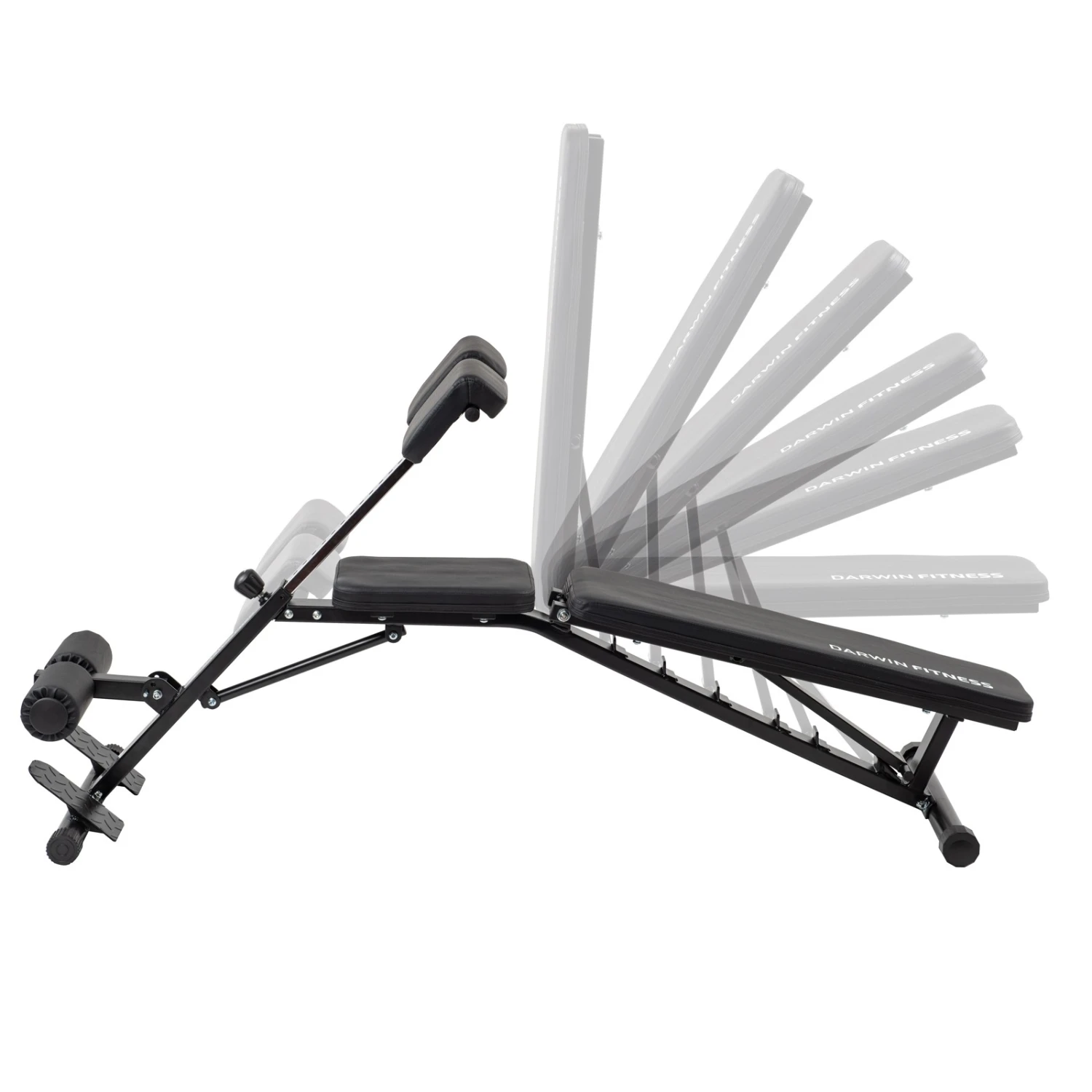 Banco de Musculación Darwin FB60 - Fitshop Banco De Musculación Darwin FB60 - Fitshop -Deporte Fitness Tienda df fb60 02 1600