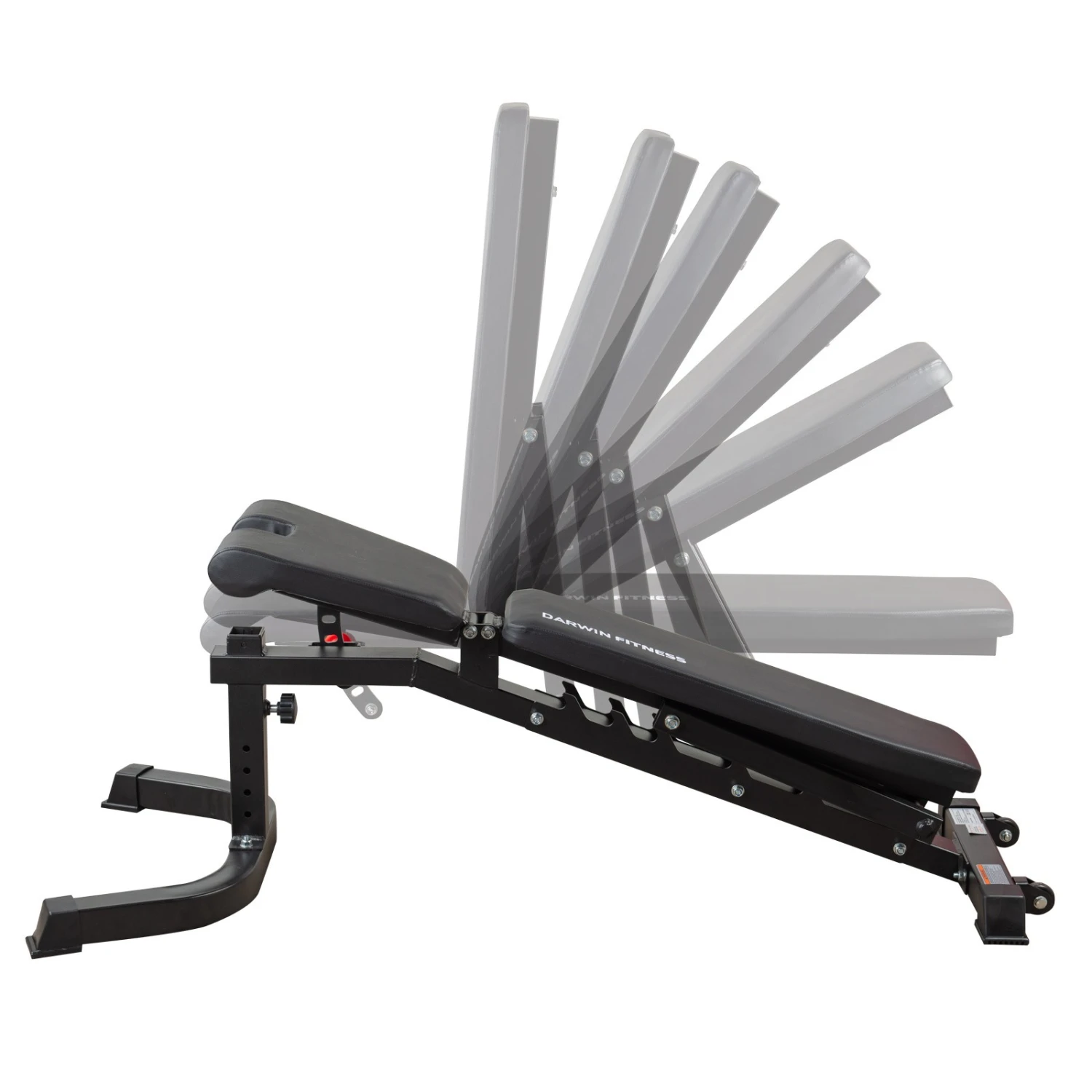 Banco de Musculación Darwin FB90 y 2 Mancuernas de 15 Kg - Fitshop Banco De Musculación Darwin FB90 Y 2 Mancuernas De 15 Kg - Fitshop -Deporte Fitness Tienda df fb90 02 1600