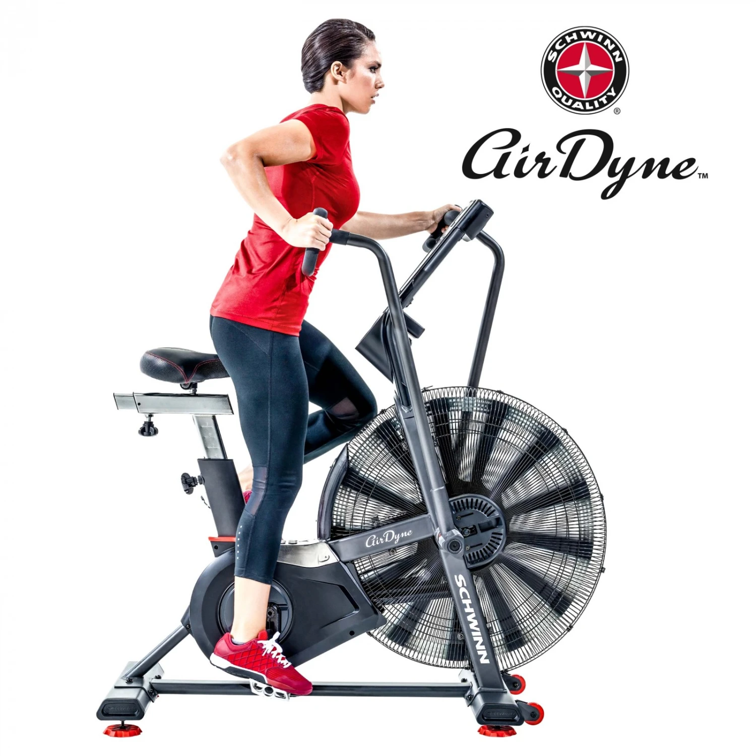 Schwinn Airdyne AD8 - Fitshop Schwinn Airdyne AD8 - Fitshop -Deporte Fitness Tienda schwinn ayirdyne ad8 01 1600