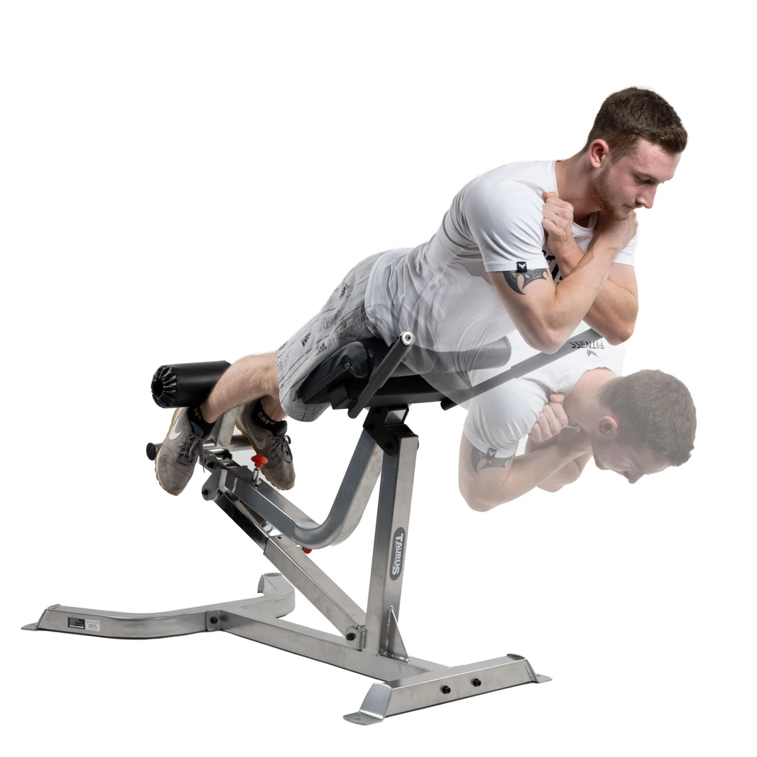 Banco Lumbar Taurus B850 Pro - Fitshop Banco Lumbar Taurus B850 Pro - Fitshop -Deporte Fitness Tienda tf b850 pro 1600