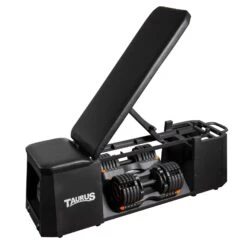 Banco De Musculación Taurus Selectabell - Fitshop 7 Banco De Musculación Taurus Selectabell - Fitshop -Deporte Fitness Tienda tf npi2001a 05 1600