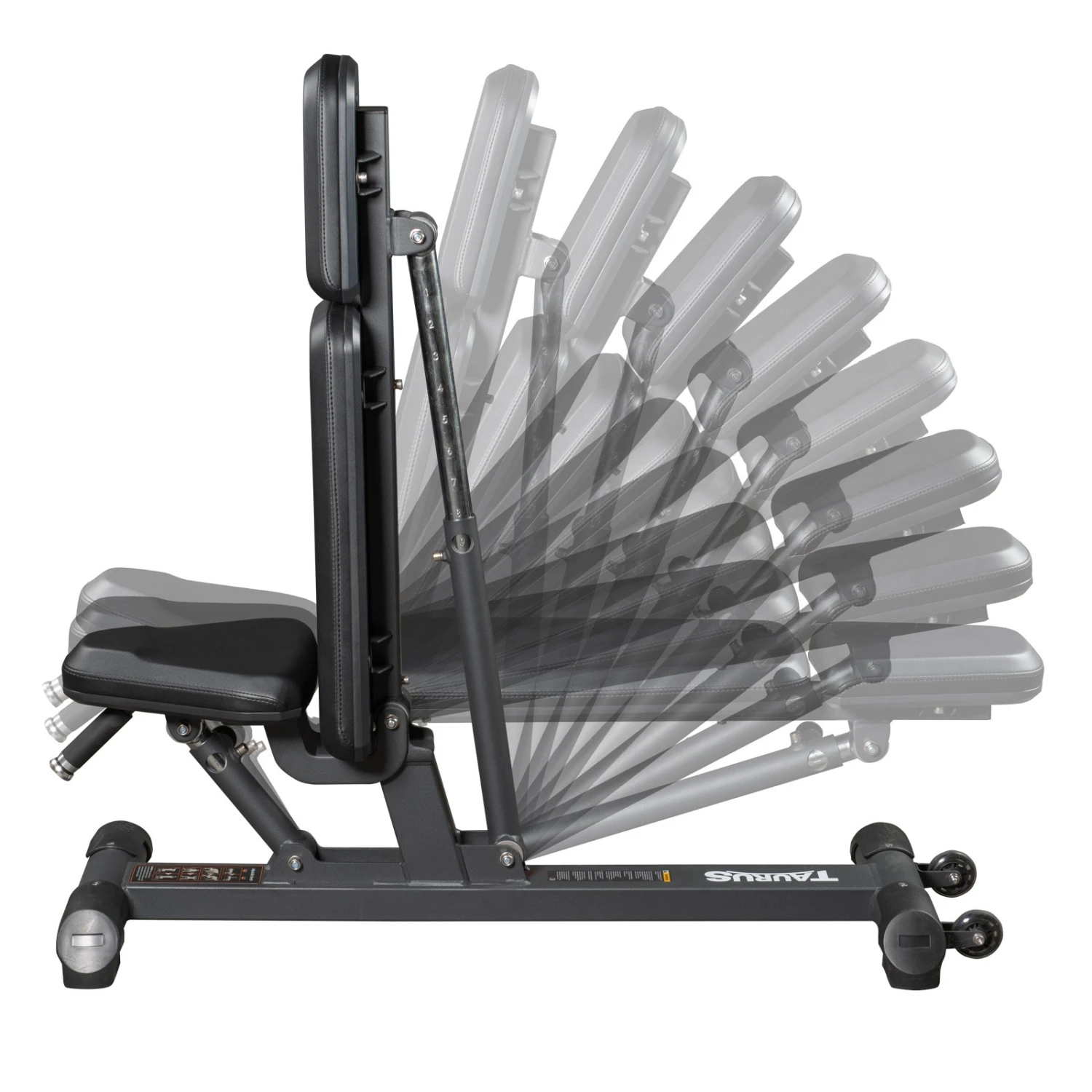 Banco de Musculación Taurus Studio F.I. - Fitshop Banco De Musculación Taurus Studio F.I. - Fitshop -Deporte Fitness Tienda tf ptt0204 03 1600